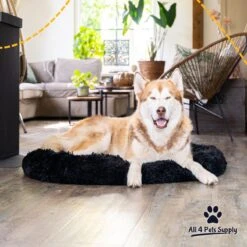 All 4 Pets Supply® Hondenmand Donut - Maat XL - Geschikt Voor Honden Tot 100 Cm - Hondenkussen - Zwart 14 All 4 Pets Supply® Hondenmand Donut - Maat XL - Geschikt Voor Honden Tot 100 Cm - Hondenkussen - Zwart -Hondenbenodigdheden 1200x1200 1424
