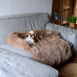 Dogs&Co Zachte Fluffy Hondenmat Voor Bank Maat L Khaki 120x90cm - Hondenmand -Hondenbenodigdheden 1200x1200 1460