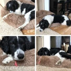 Snoozle Donut Hondenmand - Zacht En Luxe Hondenkussen - Wasbaar - Fluffy - Hondenmanden - 70cm - Creme Bruin -Hondenbenodigdheden 1200x1200 1462