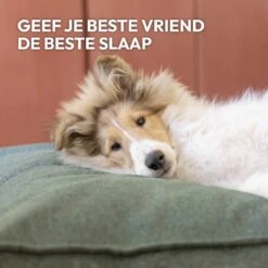 Snoozle Orthopedische Hondenmand - Zacht En Luxe Hondenkussen - Hondenbed - Wasbaar - Hondenmanden - 100 X 70 Cm - Stormy Grey -Hondenbenodigdheden 1200x1200 1492