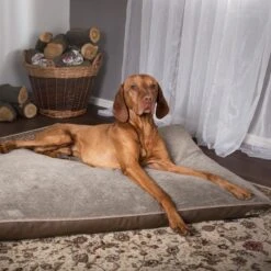 Scruffs Chateau - Hondenbed Orthopedisch Met Memory Foam Voor Extra Steun Voor Rug En Gewrichten - Grijs & Bruin Maat M/L - Kleur: Grijs, Maat: Medium -Hondenbenodigdheden 1200x1200 1499