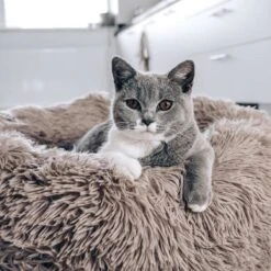 District 70 FUZZ - Hondenmand Comfortabel En Zacht Pluche - Zand, Oudroze, Donkergrijs En Lichtgrijs In S/M/L/XL - Maat: Large, Kleur: Zand -Hondenbenodigdheden 1200x1200 1507