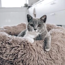 District 70 FUZZ - Hondenmand Comfortabel En Zacht Pluche - Zand, Oudroze, Donkergrijs En Lichtgrijs In S/M/L/XL - Maat: Medium, Kleur: Zand -Hondenbenodigdheden 1200x1200 1514