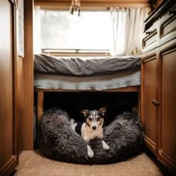 District 70 FUZZ - Hondenmand Comfortabel En Zacht Pluche - Zand, Oudroze, Donkergrijs En Lichtgrijs In S/M/L/XL - Maat: Medium, Kleur: Zand -Hondenbenodigdheden 1200x1200 1517