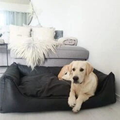 Maxxnobel Orthopedisch Hondenkussen - Lederlook/Teddy - M - 100 X 80 Cm - Zwart -Hondenbenodigdheden 1200x1200 1521