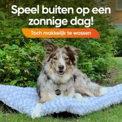 Happysnoots Hondenkussen 70 X 50cm - Hondenbed - Donut Dog Bed - Fluffy - Grijs - Wasbaar -Hondenbenodigdheden 1200x1200 1532