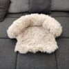 Kussen Voor Kat Of Kleine Hond | Fluffy Dierenkussen Van Pluche | Kat | Bank | Mand | Kattenmand | Kattendeken & Bankbeschermer Max. 15 Kg | Beige | Maat XS -Hondenbenodigdheden 1200x1200 1544