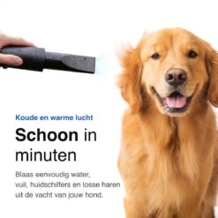 Vivid Green Waterblazer Met 3 Opzetstukken - Hondenfohn - Voor Honden - Met Geluiddemper - 2800W 18 Vivid Green Waterblazer Met 3 Opzetstukken - Hondenfohn - Voor Honden - Met Geluiddemper - 2800W -Hondenbenodigdheden 1200x1200 155