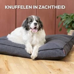 Snoozle Orthopedische Hondenmand - Zacht En Luxe Hondenkussen - Hondenbed - Wasbaar - Hondenmanden - 100 X 70 Cm - Groen -Hondenbenodigdheden 1200x1200 1550