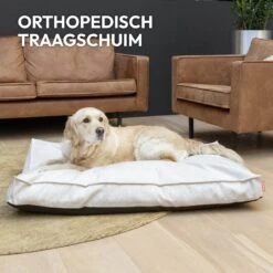 Snoozle Orthopedische Hondenmand - Zacht En Luxe Hondenkussen - Hondenbed - Wasbaar - Hondenmanden - 100 X 70 Cm - Groen -Hondenbenodigdheden 1200x1200 1552