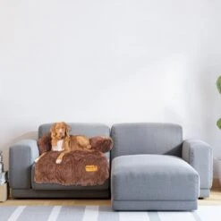 Origineel Hondendeken Voor Bank– Hondenkleed Fluffy – Pluche Hondenbed - Hondenmand Premium - Volledig Afritsbaar 13 Origineel Hondendeken Voor Bank– Hondenkleed Fluffy – Pluche Hondenbed - Hondenmand Premium - Volledig Afritsbaar -Hondenbenodigdheden 1200x1200 1559