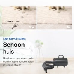 Vivid Green Waterblazer Met 3 Opzetstukken - Hondenfohn - Voor Honden - Met Geluiddemper - 2800W 19 Vivid Green Waterblazer Met 3 Opzetstukken - Hondenfohn - Voor Honden - Met Geluiddemper - 2800W -Hondenbenodigdheden 1200x1200 156