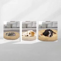 Peaceful Pooch S - Pluizig Hondenbed - 58cm Diameter - Opvouwbaar - In Verschillende Maten. Kattenbed - Wasbaar - Uitneembare Vulling - Ontspant Gewrichten En Spieren - Anti-slip Noppenbodem -Hondenbenodigdheden 1200x1200 1568