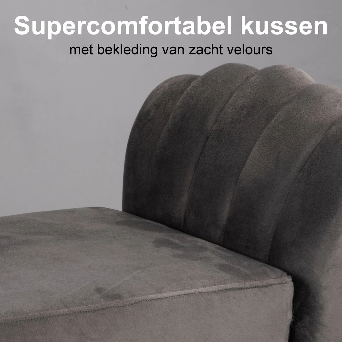 Maxxpro Katten- En Hondenbank - Grijs - Verhoogd Met Houten Poten - Fluweel Materiaal - 90 X 44 X 34 Cm - Huisdieren Tot 80 KG 4 Maxxpro Katten- En Hondenbank - Grijs - Verhoogd Met Houten Poten - Fluweel Materiaal - 90 X 44 X 34 Cm - Huisdieren Tot 80 KG - Afbeelding 2