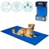 Koeling Mat Voor Huisdieren - 60 X 80 Cm -Hondenbenodigdheden 1200x1200 1598