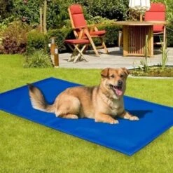 Koeling Mat Voor Huisdieren - 60 X 80 Cm -Hondenbenodigdheden 1200x1200 1599