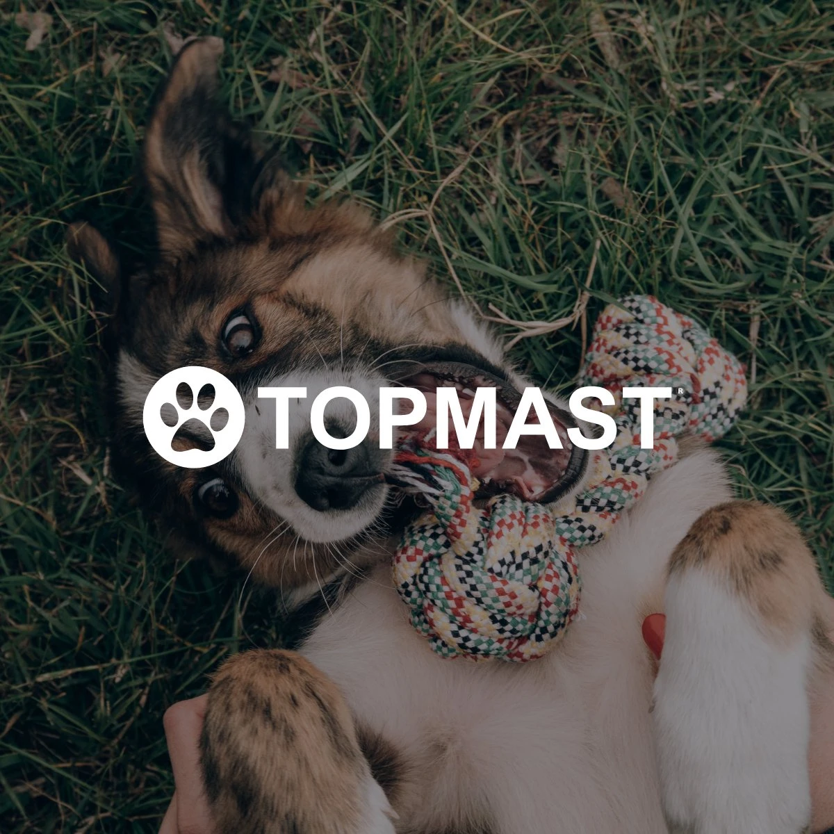 Topmast Waterproof Benchkussen - Nylon - Zwart - 60 X 45 Cm - Benchmat - Benchmatras - Waterafstotend - Hondenkussen 6 Topmast Waterproof Benchkussen - Nylon - Zwart - 60 X 45 Cm - Benchmat - Benchmatras - Waterafstotend - Hondenkussen - Afbeelding 4