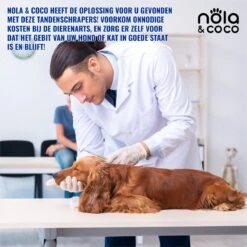 Nola & Coco® Tandsteen Verwijderaar Set Inclusief Bewaardoosje - Tandenkrabber - Set Van Twee - Hond - Kat - Tandenborstel - Tandplak Verwijderen - Tandenstoker - Honden Tanden Schoonmaken - Tandenhaakje - Gebitsreiniging 11 Nola & Coco® Tandsteen Verwijderaar Set Inclusief Bewaardoosje - Tandenkrabber - Set Van Twee - Hond - Kat - Tandenborstel - Tandplak Verwijderen - Tandenstoker - Honden Tanden Schoonmaken - Tandenhaakje - Gebitsreiniging -Hondenbenodigdheden 1200x1200 1673