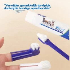 Hond En Kat Tandenborstel Verzorgingsset - Inclusief Tandpasta Met Beefsmaak - Vier Unieke Reinigingsborstels - Fluoride Vrij -Hondenbenodigdheden 1200x1200 1682