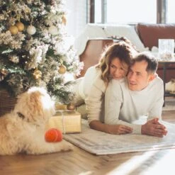 Good Experience Interactieve Hondenbal 3.0 – Honden Speelgoed Intelligentie – Puppy Speelgoed – Hondenspeeltjes – De Enige Die Werkt Met Afstandsbediening – De Veilige Bal Voor Jouw Hond – One Size – Oranje 13 Good Experience Interactieve Hondenbal 3.0 – Honden Speelgoed Intelligentie – Puppy Speelgoed – Hondenspeeltjes – De Enige Die Werkt Met Afstandsbediening – De Veilige Bal Voor Jouw Hond – One Size – Oranje -Hondenbenodigdheden 1200x1200 1691