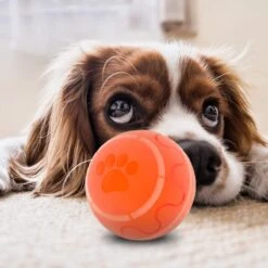 Good Experience Interactieve Hondenbal 3.0 – Honden Speelgoed Intelligentie – Puppy Speelgoed – Hondenspeeltjes – De Enige Die Werkt Met Afstandsbediening – De Veilige Bal Voor Jouw Hond – One Size – Oranje 19 Good Experience Interactieve Hondenbal 3.0 – Honden Speelgoed Intelligentie – Puppy Speelgoed – Hondenspeeltjes – De Enige Die Werkt Met Afstandsbediening – De Veilige Bal Voor Jouw Hond – One Size – Oranje -Hondenbenodigdheden 1200x1200 1693