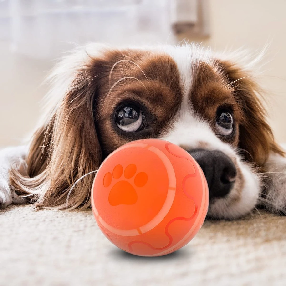 Good Experience Interactieve Hondenbal 3.0 – Honden Speelgoed Intelligentie – Puppy Speelgoed – Hondenspeeltjes – De Enige Die Werkt Met Afstandsbediening – De Veilige Bal Voor Jouw Hond – One Size – Oranje 11 Good Experience Interactieve Hondenbal 3.0 – Honden Speelgoed Intelligentie – Puppy Speelgoed – Hondenspeeltjes – De Enige Die Werkt Met Afstandsbediening – De Veilige Bal Voor Jouw Hond – One Size – Oranje - Afbeelding 9