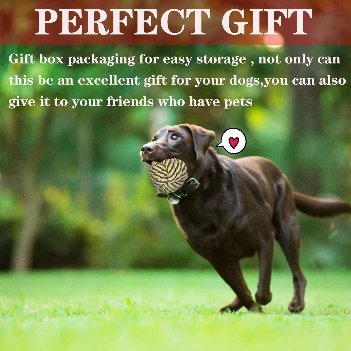 Nobleza Honden Speelgoed Set PLJ - 10 Stuks 7 Nobleza Honden Speelgoed Set PLJ - 10 Stuks - Afbeelding 5