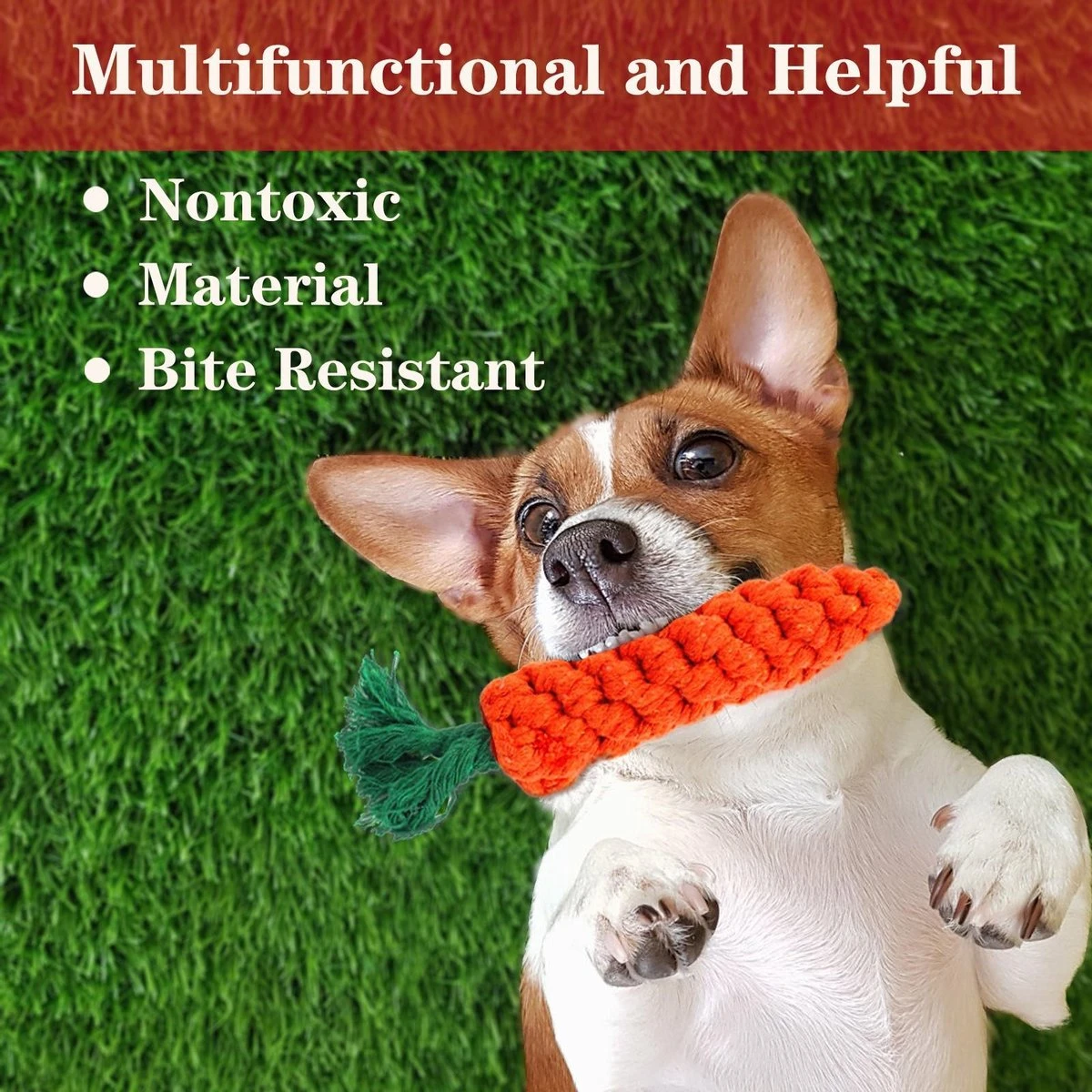 Nobleza Honden Speelgoed Set PLJ - 10 Stuks 8 Nobleza Honden Speelgoed Set PLJ - 10 Stuks - Afbeelding 6