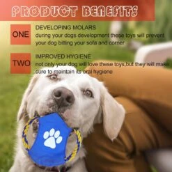Nobleza Honden Speelgoed Set PLJ - 10 Stuks 18 Nobleza Honden Speelgoed Set PLJ - 10 Stuks -Hondenbenodigdheden 1200x1200 1700