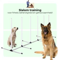 AYOO Agility Voor De Hond - Honden Training - Honden Behendigheid Set - Hondenparcours - Training Huisdieren - Honden Agility Set - Slalom - Horde - Draagzak - Agility Set - Oranje - Wit - GRATIS Speeltouw -Hondenbenodigdheden 1200x1200 1721