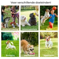 AYOO Agility Voor De Hond - Honden Training - Honden Behendigheid Set - Hondenparcours - Training Huisdieren - Honden Agility Set - Slalom - Horde - Draagzak - Agility Set - Oranje - Wit - GRATIS Speeltouw -Hondenbenodigdheden 1200x1200 1722