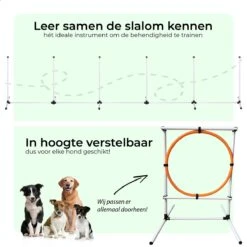 AYOO Agility Voor De Hond - Honden Training - Honden Behendigheid Set - Hondenparcours - Training Huisdieren - Honden Agility Set - Slalom - Horde - Draagzak - Agility Set - Oranje - Wit - GRATIS Speeltouw -Hondenbenodigdheden 1200x1200 1723