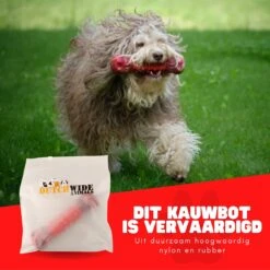 Kauwbot Hond Extra Sterk Kauwspeelgoed Melk Geur Smaak Honden Speelgoed - Rood Wit - Dutchwide 19 Kauwbot Hond Extra Sterk Kauwspeelgoed Melk Geur Smaak Honden Speelgoed - Rood Wit - Dutchwide -Hondenbenodigdheden 1200x1200 1731