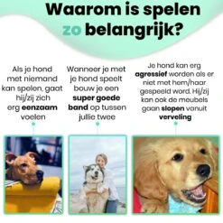 Petloverz – Honden Speelgoed Set – Honden Speeltjes – Knuffel - Speelgoed – Intelligentie – 15 Speeltjes -Hondenbenodigdheden 1200x1200 1737