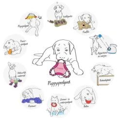 Trixie Honden Activity Flip Board - Hondenspeelgoed - Wit/Blauw - 23 Cm 15 Trixie Honden Activity Flip Board - Hondenspeelgoed - Wit/Blauw - 23 Cm -Hondenbenodigdheden 1200x1200 1753