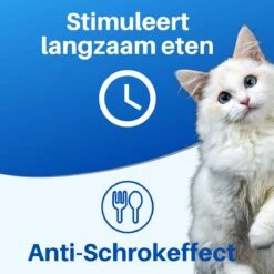 JT Products Siliconen Snuffelmat Zwart - Voor Hond En Kat – Puppy – Kitten – Konijn - Voerbak – Agility Voor De Hond - Honden Speelgoed Intelligentie – Denkspel Hond – Speelgoed Hondje Interactief – Anti Schrok Mat - Likmat 16 JT Products Siliconen Snuffelmat Zwart - Voor Hond En Kat – Puppy – Kitten – Konijn - Voerbak – Agility Voor De Hond - Honden Speelgoed Intelligentie – Denkspel Hond – Speelgoed Hondje Interactief – Anti Schrok Mat - Likmat -Hondenbenodigdheden 1200x1200 1774