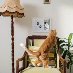 NOVOB® Fotolijst Met Inktafdruk - Pootafdruk Hond - Contactloos - Paw Print - Hondenspeelgoed - Afdruk Huisdier - Cadeau - 23.5 X 29 Cm | Wit -Hondenbenodigdheden 1200x1200 1796