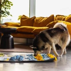Snuffies Snuffelmat Jara 100x65cm - Snuffelmat – Snuffelmatten - Honden Speelgoed - Honden Speelgoed Intelligentie – Snuffelmat - Snuffelmat Hond - Snuffelmatten – Hersenwerk – Honden Speeltjes – Puppy - Puppy Speelgoed - Honden Denkspelletjes -Hondenbenodigdheden 1200x1200 1853