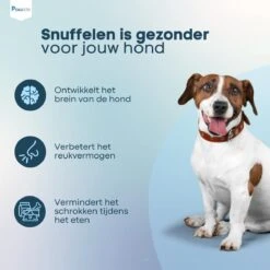 Pawzle Snuffelmat Hond - Likmat - Anti Schrokbak - Honden Speelgoed Intelligentie - Puppy - Inclusief Speelbal - 50x50cm - Blauw -Hondenbenodigdheden 1200x1200 1867