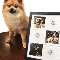 Merkloos Paw Print Pad - Pootafdruk Maken Van Hond Of Kat -Hondenbenodigdheden 1200x1200 1871