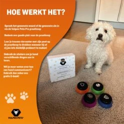 Vulpes Pets® PRO Praatknop Voor Honden Met Speelmat - Dogbuttons - Laat Uw Huisdier Spreken - Hondenspeelgoed - Honden Training - Inclusief E-Book En Speelmat -Hondenbenodigdheden 1200x1200 1883