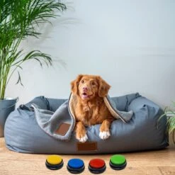Comfort Company Praatknop Hond | Dogbuttons – Honden Speelgoed | Honden Speelgoed Intelligentie | 4 Stuks | Agility Voor De Hond | 30 Seconden Opnamen | Honden Training 19 Comfort Company Praatknop Hond | Dogbuttons – Honden Speelgoed | Honden Speelgoed Intelligentie | 4 Stuks | Agility Voor De Hond | 30 Seconden Opnamen | Honden Training -Hondenbenodigdheden 1200x1200 1889