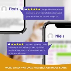 Merkloos Go Quality Honden Speelgoed - Snuffelmat - Snuffelmat Hond - Hondenspeeltjes - Puppy Speelgoed - Honden Speelgoed Intelligentie -Hondenbenodigdheden 1200x1200 1894