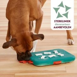 Nina Ottosson Dog Casino - Turquoise/Oranje - 31,5 X 26 X 4,5 Cm -Hondenbenodigdheden 1200x1200 1900