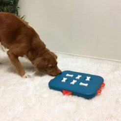 Nina Ottosson Dog Casino - Turquoise/Oranje - 31,5 X 26 X 4,5 Cm -Hondenbenodigdheden 1200x1200 1902