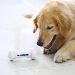 Wickedbone - Automatisch, Interactief En Intelligent Speelgoed Voor Honden - App & Bluetooth Bestuurbaar - USB Oplaadbaar -Hondenbenodigdheden 1200x1200 1914