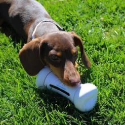 Cheerble Wickedbone|Automatisch Hondenspeeltje|Interactief En Intelligent Speelgoed Voor Honden|App & Bluetooth Bestuurbaar|USB Oplaadbaar -Hondenbenodigdheden 1200x1200 1918