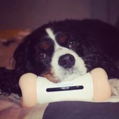 Cheerble Wickedbone|Automatisch Hondenspeeltje|Interactief En Intelligent Speelgoed Voor Honden|App & Bluetooth Bestuurbaar|USB Oplaadbaar -Hondenbenodigdheden 1200x1200 1919
