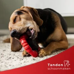 Kauwbot Stuurwiel 2.0 Extra Sterk Melk Geur Smaak En Piep Honden Speelgoed - Kauwspeelgoed Bot Hond - Dutchwide 14 Kauwbot Stuurwiel 2.0 Extra Sterk Melk Geur Smaak En Piep Honden Speelgoed - Kauwspeelgoed Bot Hond - Dutchwide -Hondenbenodigdheden 1200x1200 1927