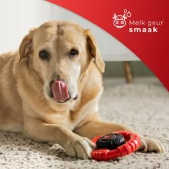 Kauwbot Stuurwiel 2.0 Extra Sterk Melk Geur Smaak En Piep Honden Speelgoed - Kauwspeelgoed Bot Hond - Dutchwide 15 Kauwbot Stuurwiel 2.0 Extra Sterk Melk Geur Smaak En Piep Honden Speelgoed - Kauwspeelgoed Bot Hond - Dutchwide -Hondenbenodigdheden 1200x1200 1928